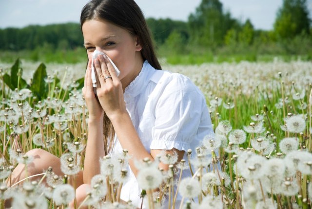 10 trikova da smirite polensku alergiju bez lekova: Ljubljenje, smeh i beli luk